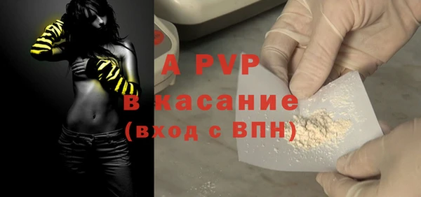 прущие грибы Баксан