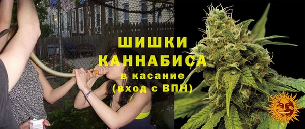 гидропоника Балахна