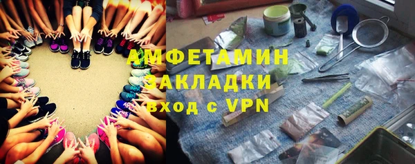 прущие грибы Баксан