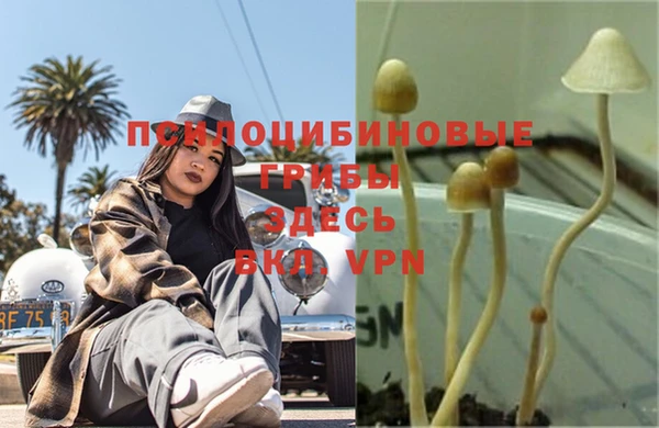 гидропоника Балахна