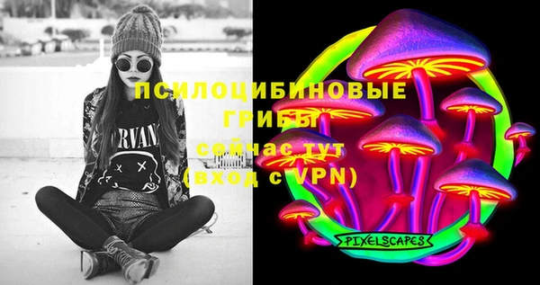 прущие грибы Баксан