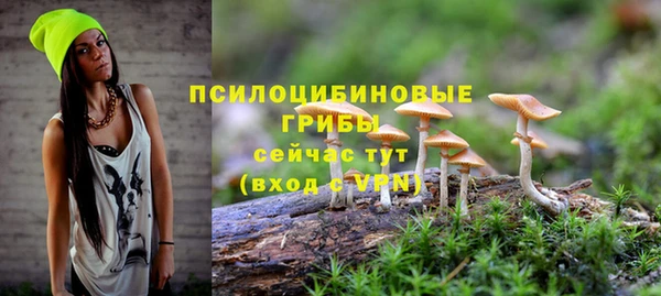 гидропоника Балахна
