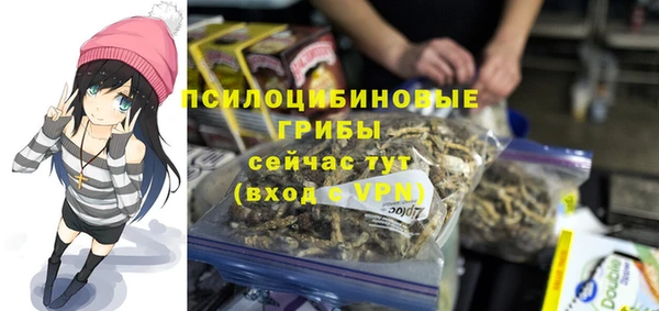 прущие грибы Баксан