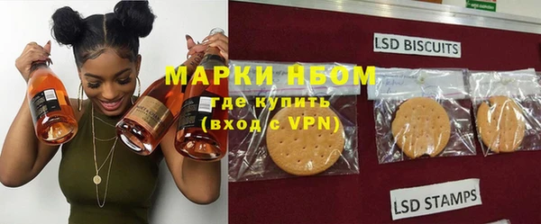 прущие грибы Баксан