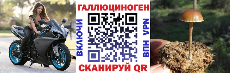Галлюциногенные грибы Psilocybe  как найти закладки  Заволжье 